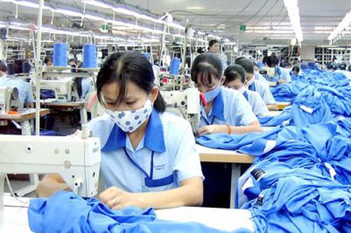 Ngành BHXH triển khai thu thập thông tin người tham gia BHXH, BHYT