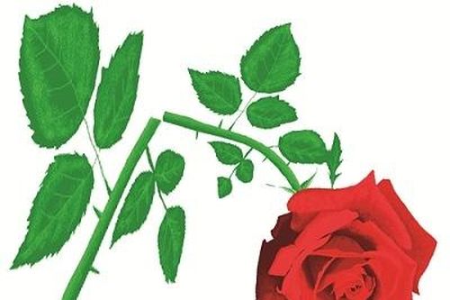 Yêu nhiều và hệ lụy nguy hiểm
