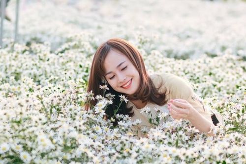 Khi đông 'gõ cửa' cũng là lúc cúc họa mi đẹp đến nao lòng