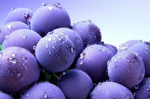 Da trắng bật tông nhờ chăm ăn những quả này