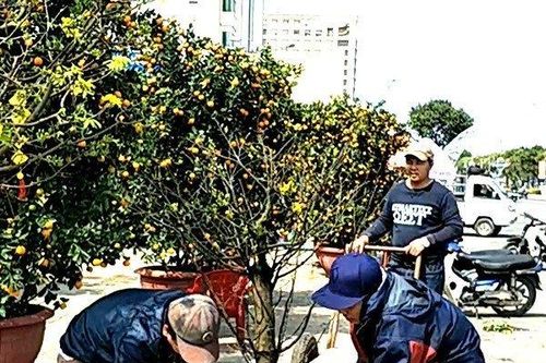 Chợ hoa ngày Tết: Đắt tí cũng vui!