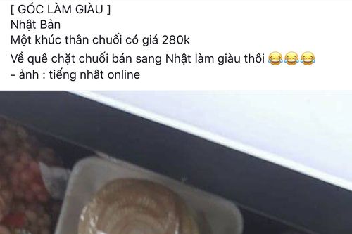 Thân chuối băm cho lợn ăn ở Việt Nam, sang Nhật đội giá ngất ngưởng