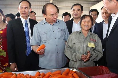 Thủ tướng đối thoại, tháo gỡ vướng mắc cho nông dân