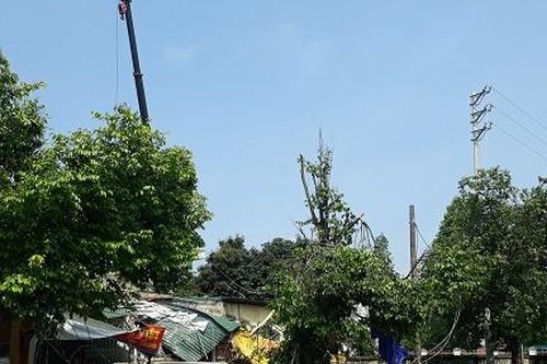 Lốc xoáy 'vật ngã' cột phát sóng BTS cao 65 mét