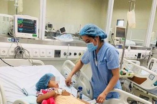 Ăn thịt cóc tự làm, chị chết thương tâm, em hôn mê nhập viện