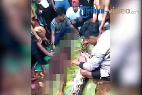 Trăn khổng lồ nuốt chửng một phụ nữ Indonesia