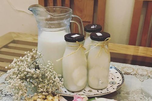 Mùa sen, học cách làm món sữa hạt sen cốt dừa thơm ngậy, mát lành