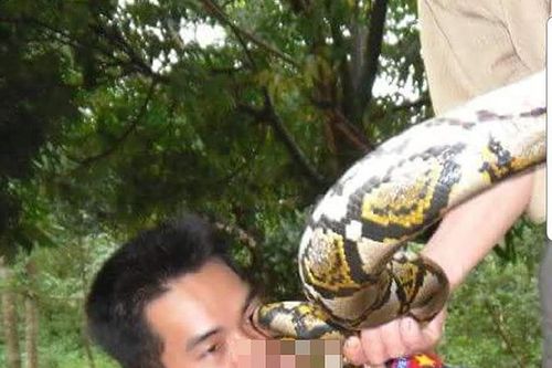 Giết, uống máu trăn gấm quý hiếm rồi đăng hình phản cảm lên Face