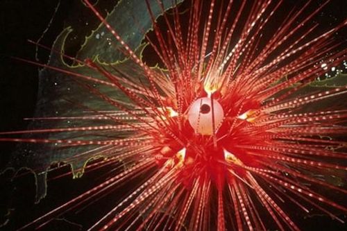 Những loài động vật sống lâu nhất Trái Đất