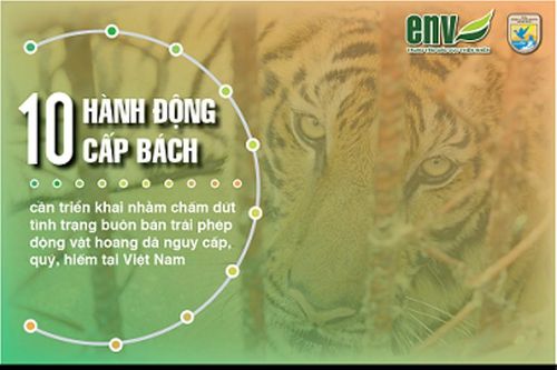 10 khuyến nghị nhằm ngăn chặn động vật hoang dã tuyệt chủng
