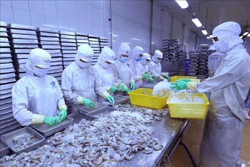 Vượt áp lực thẻ vàng IUU, xuất khẩu thủy sản dự kiến đạt mức 9 tỷ USD