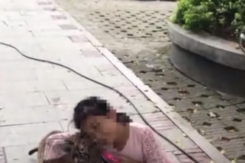 Bé gái hồn nhiên dắt hổ đi dạo gây sốc