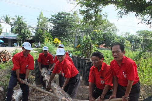 Trồng bạch đàn xóa nhà xiêu vẹo và tạm bợ có hiệu quả