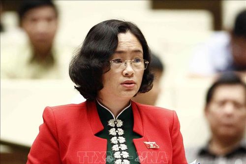 Quốc hội cần có Nghị quyết chuyên đề tích hợp các chính sách vùng dân tộc thiểu số