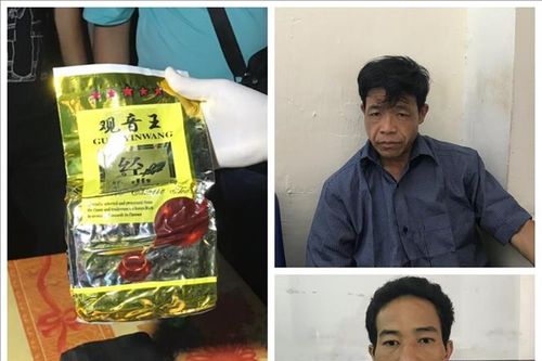 Hải Phòng: Triệt phá đường dây buôn bán ma túy lớn từ Sơn La về Hải Phòng