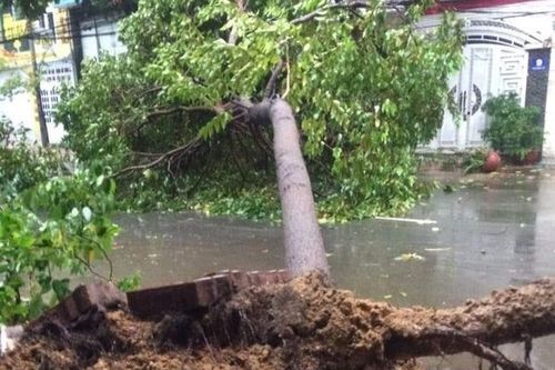 Bão số 9 vào Bà Rịa - Vũng Tàu: May mắn chưa có thiệt hại về người