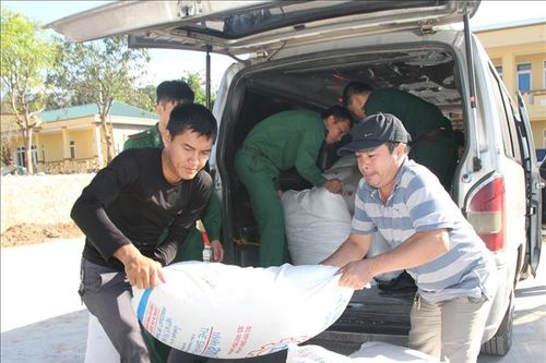 Liên tiếp bắt giữ 3 vụ vận chuyển hàng lậu ở biên giới tỉnh Quảng Trị