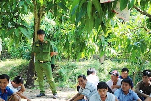 Triệt phá tụ điểm đá gà ăn thua bằng tiền, bắt giữ hàng chục con bạc
