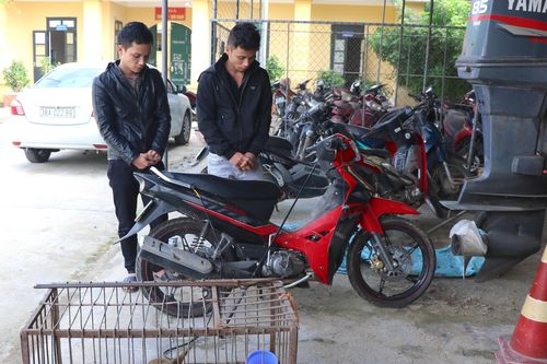 Bắt đối tượng gây ra hàng loạt vụ trộm chó