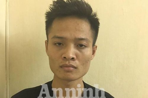 Bắt đối tượng tự ươm trồng cần sa rồi rao bán trên mạng xã hội
