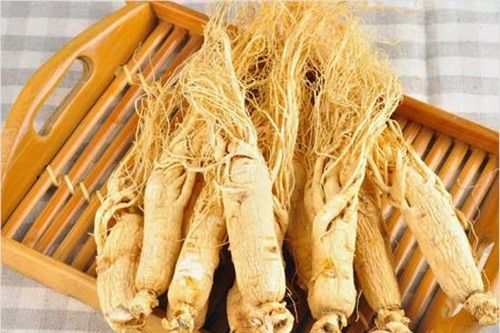Nhân sâm thành 'độc dược' nếu dùng như thế này