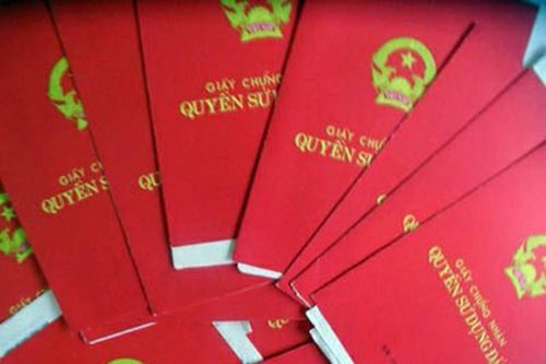 Nghệ An: 12/12 địa phương được kiểm tra đều có sai phạm trong cấp 'sổ đỏ'