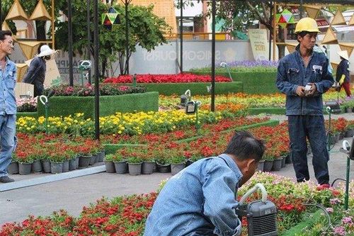 Đường hoa Nguyễn Huệ gấp rút hoàn thiện kịp ngày khai mạc