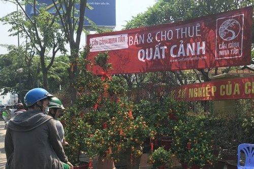 Nhộn nhịp chợ hoa Tết Kỷ Hợi 2019: Mẫu mã đa dạng, giá thành tăng nhẹ