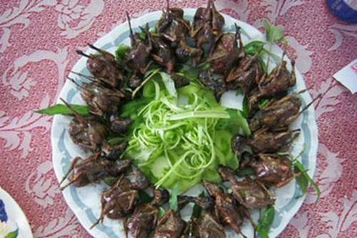 Món ngon từ chim sẻ giúp bổ thận tráng dương cho nam giới