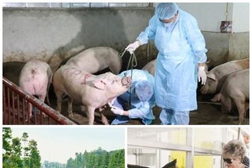 Chỉ đạo, điều hành của Chính phủ, Thủ tướng Chính phủ nổi bật tháng 02/2019