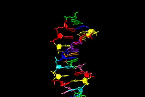 DNA '8 chữ cái' giúp tìm sự sống ngoài hành tinh