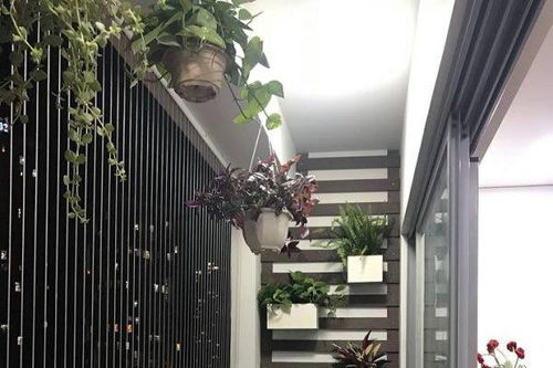 Ý tưởng trang trí ban công chung cư vừa đẹp vừa an toàn