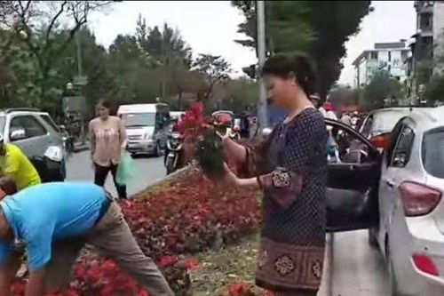 Người dân 'hôi' hoa trên đường Kim Mã: Biểu hiện của lòng tham, sự ích kỷ, ti tiện