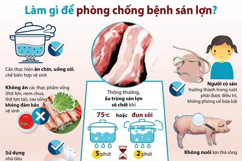 Làm gì để phòng chống bệnh sán lợn?