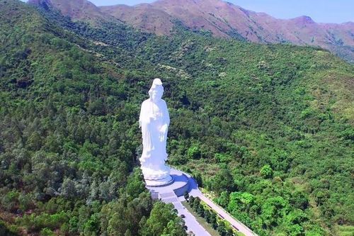 Bảo tàng Phật giáo đầu tiên ở Hong Kong đẹp yên bình ra sao?