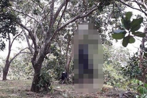 Thi thể người đàn ông đang phân hủy tại vườn điều ở Lâm Đồng