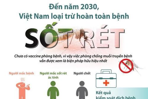 Việt Nam loại trừ hoàn toàn bệnh sốt rét vào năm 2030