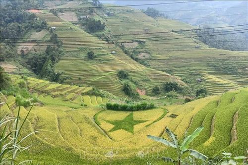 Khai thác du lịch nông nghiệp - Bài 2: Một dòng sản phẩm chủ đạo