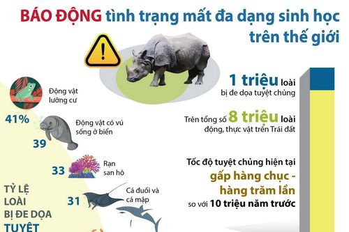Báo động tình trạng mất đa dạng sinh học trên thế giới