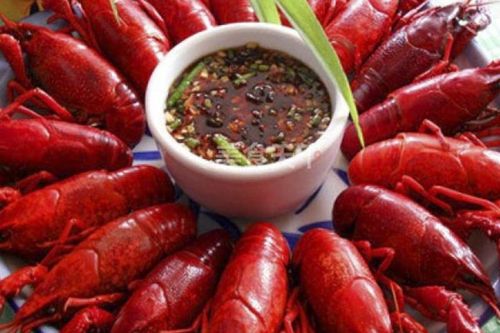 Món tôm hùm đất Trung Quốc gây 'sốt' thị trường thuộc sinh vật ngoại lai nguy hại