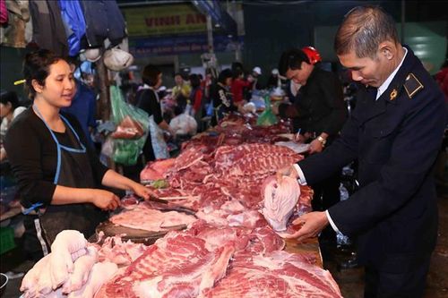 Hướng dẫn biện pháp khẩn cấp về quản lý giết mổ, tiêu thụ sản phẩm lợn
