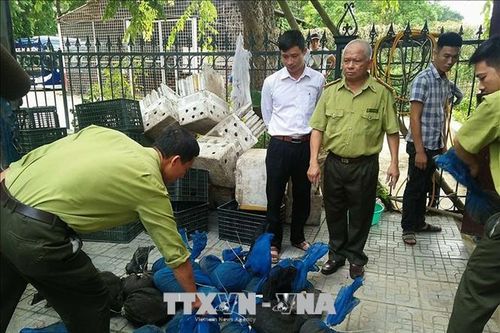 Săn bắt và buôn bán động vật hoang dã - Bài cuối: Cần sửa đổi, bổ sung khung pháp lý