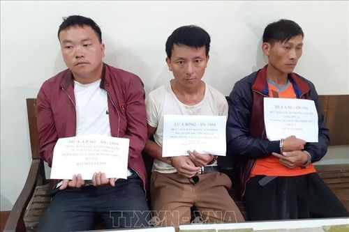 Bắt quả tang vụ vận chuyển 20 bánh heroin, 12.000 viên ma túy tổng hợp