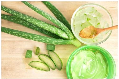 Tự làm sinh tố nha đam thanh nhiệt, đẹp da tại nhà
