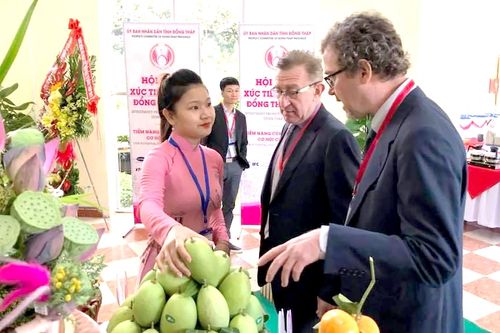 Hướng tới nền nông nghiệp bền vững