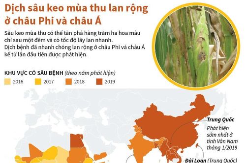 Dịch sâu keo mùa Thu lan rộng ở châu Phi và châu Á