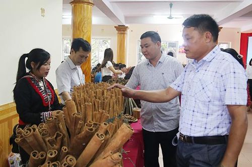 Khởi động các tiểu dự án liên quan đến thúc đẩy bình đẳng giới tại Lào Cai