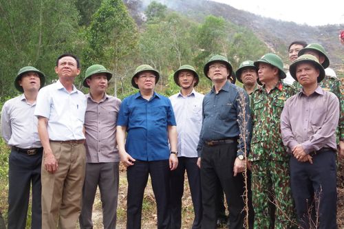 Phó Thủ tướng Vương Đình Huệ thị sát công tác chữa cháy rừng tại Hà Tĩnh
