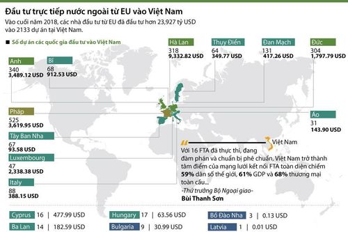 Đầu tư trực tiếp nước ngoài từ EU vào Việt Nam