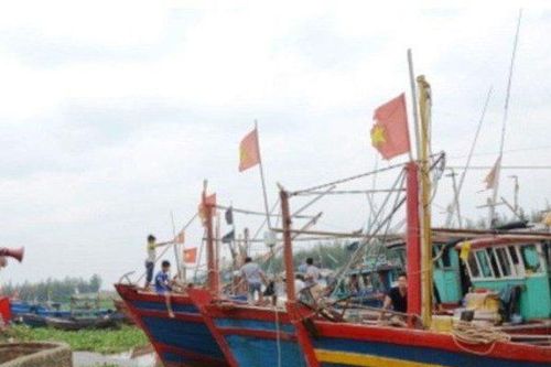Các tỉnh thành duyên hải Bắc Bộ đồng loạt ra thông báo cấm biển trước cơn bão số 2